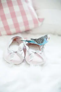 Pudra Saten Bebek Babeti