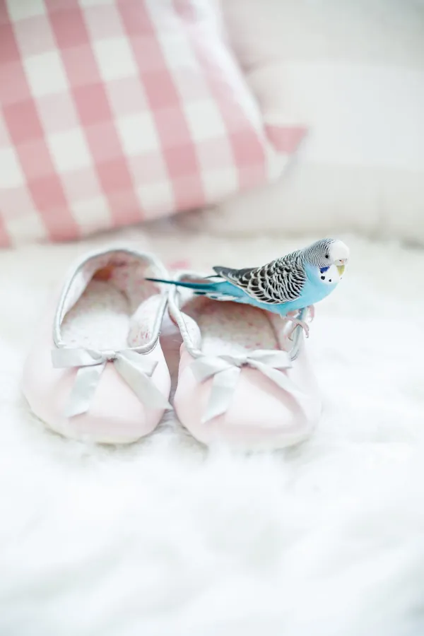 Pudra Saten Bebek Babeti